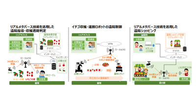 ローカル5Gを活用　農産物の生産・収穫工程の省人化へ実証事業　NTT東日本