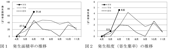 【注意報】5月から増加傾向　茶にチャノミドリヒメヨコバイ　県下全域で多発のおそれ　宮崎県