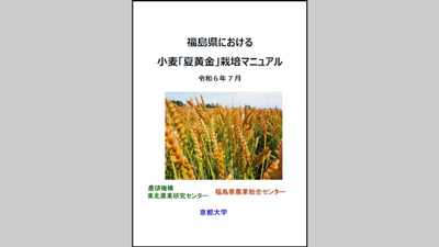 「福島県における小麦『夏黄金』栽培マニュアル」公開　農研機構s.jpg