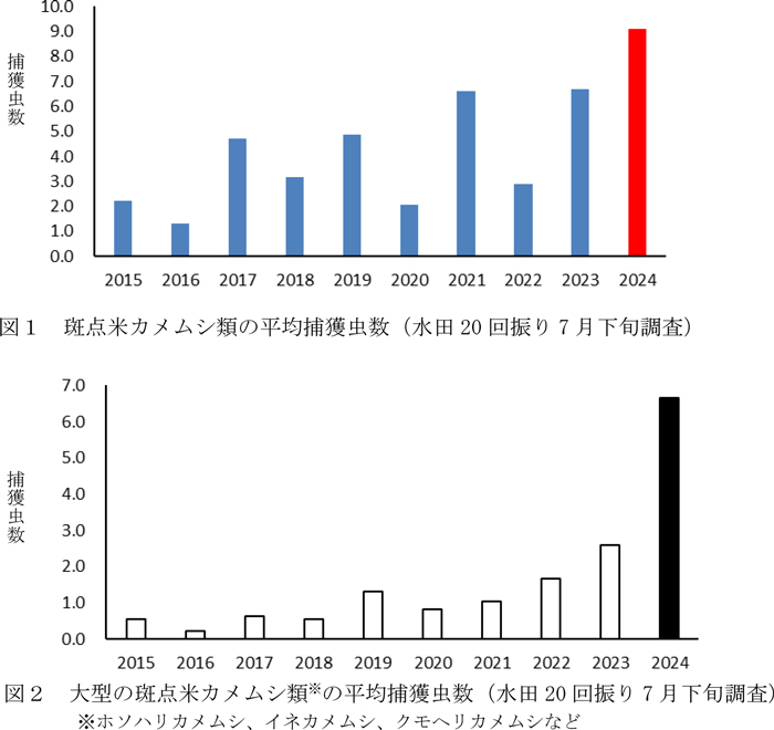 図1：斑点米カメムシ類の平均捕獲虫数（水田20回振り7月下旬調査）、 図2：大型の斑点米カメムシ類の平均捕獲虫数（水田20回振り7月下旬調査）