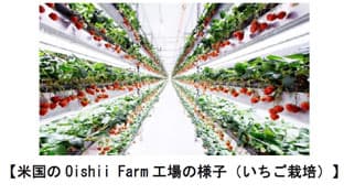 米国で植物工場を展開するOishii Farmに出資　大和ハウスグループ