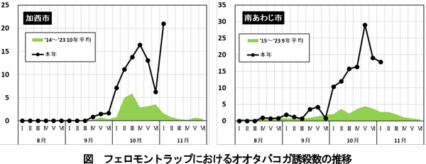 図：フェロモントラップにおけるオオタバコガ誘殺数の推移