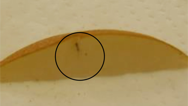 【特殊報】ナシ果実にサクセスキクイムシによる被害　県内で初めて確認　福島県-2_5.jpg