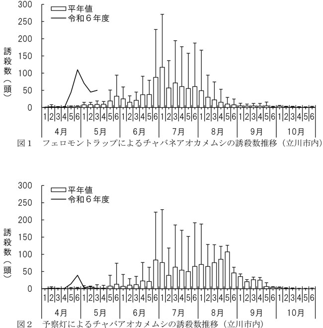 図1：フェロモントラップによるチャバネアオカメムシの誘殺数推移（立川市内）