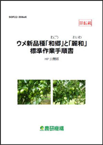 ウメ新品種「和郷」「麗和」の特性まとめ　標準作業手順書を公開　農研機構