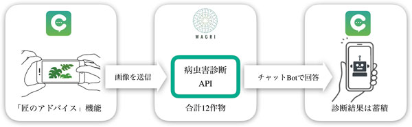 病虫害診断の手順