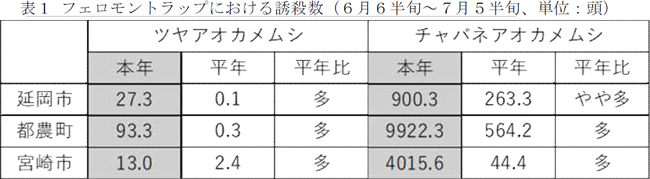 表1：フェロモントラップにおける誘殺数（6月6半旬～7月5半旬、単位：頭）