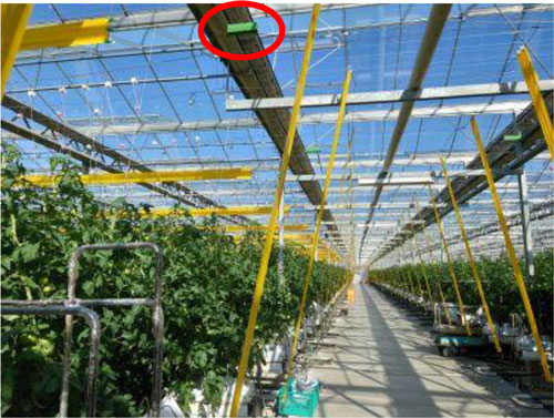 振動発生装置「トマタブル」（丸印）を 設置したトマト栽培施設（未来彩園・宮城県）