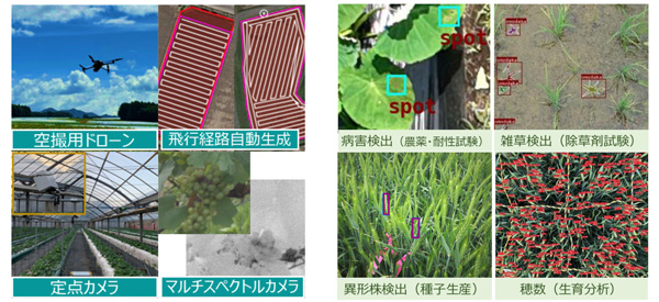 日本育種学会で作物解析「フェノタイピング・サーベイシステム」展示　ナイルワークス_01.jpg