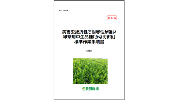 主要病虫害に強い緑茶用新品種「かなえまる」標準作業手順書を公開　農研機構-1.jpg