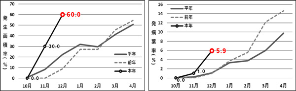 図1：斑点病（冬春ピーマン）発生面積率の推移と図2：斑点病（冬春ピーマン）発病葉率の推移