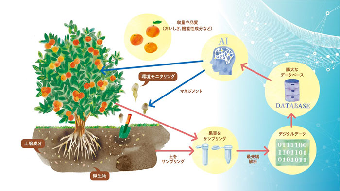 農業生態系のデジタル化のイメージ