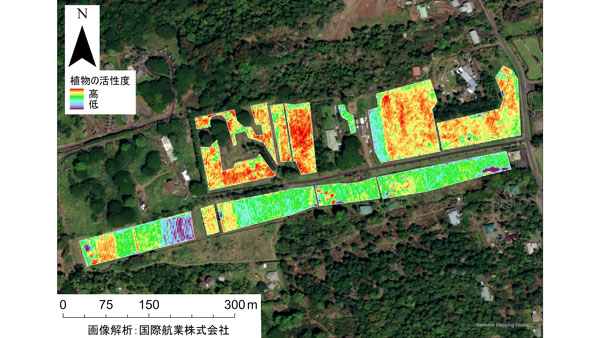 国際航業と衛星データによる持続可能なコーヒー栽培を推進　UCC