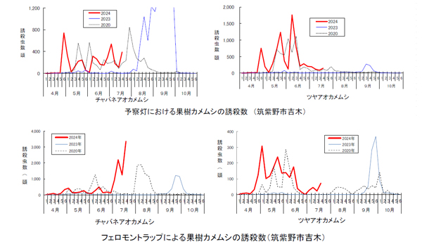 【注意報】果樹カメムシ類　7月下旬以降に被害急増のおそれ　福岡県