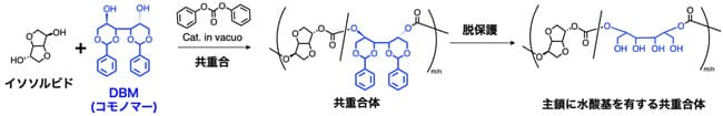図3：共重合体の合成と脱保護による水酸基の導入