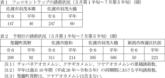 表1：フェロモントラップの誘殺状況（5月第1半旬～7月第5半旬）（頭）、 表2：予察灯の誘殺状況（5月第1半旬～7月第5半旬）（頭）