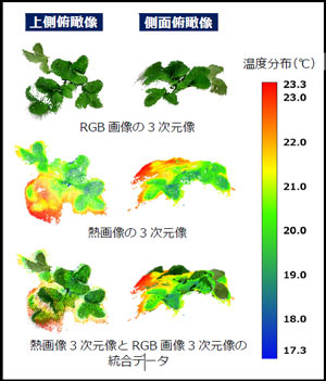 植物体表面温度の3次元計測技術を開発　植物全体の温度状況把握が可能に　農研機構