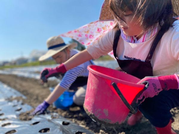 名古屋・一宮で新規就農を目指す農業研修生を募集開始　アグリンクス