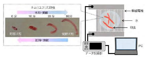 覚醒したネムリユスリカ幼虫の動きを微小電極でセンシングする生存圏探索デバイス