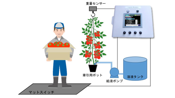 トマト栽培の自動潅水システム「うるおい力持ち」を開発　山本電機