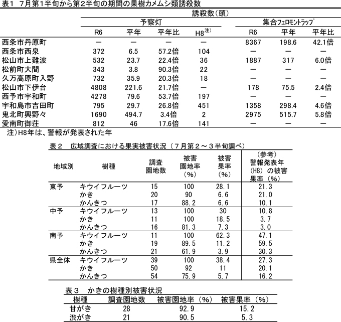 【28年ぶり警報】平年90倍超え地点も果樹カメムシ類が異常発生　愛媛県