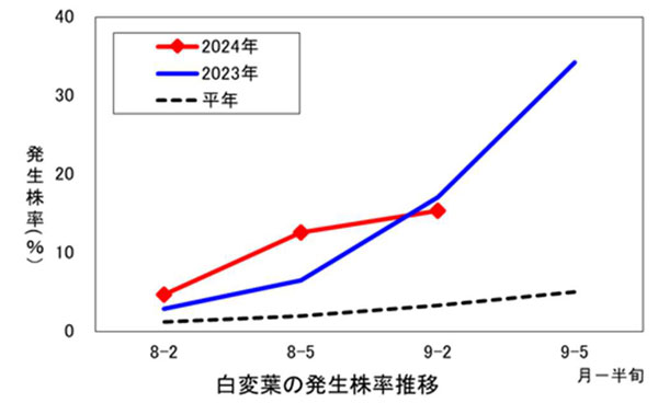 図2：大豆における白変葉の発生株率の推移