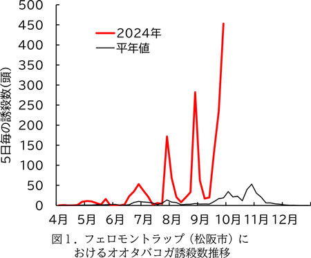 図1：フェロモントラップ（松阪市）におけるオオタバコガ誘殺数推移