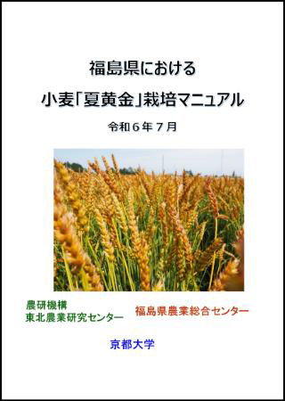 福島県における小麦「夏黄金」栽培マニュアル