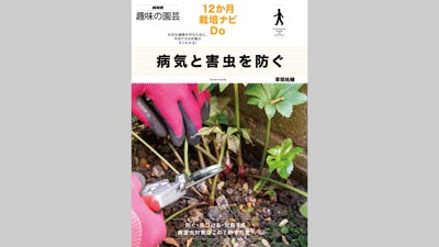 園芸に必要な病害虫対策『NHK趣味の園芸　12か月栽培ナビDo　病気と害虫を防ぐ』発売