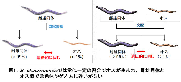 図1