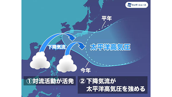 台風予想　平年並の26個　9月をピークに接近・上陸の危険性　ウェザーニューズ