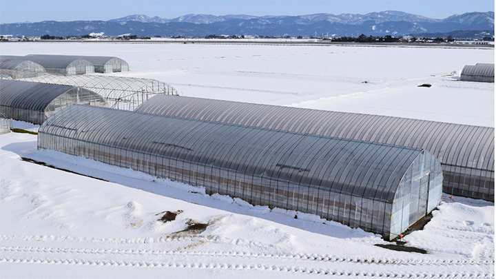 再び降雪予報で警戒を　石川県が被害拡大防止を呼びかけ