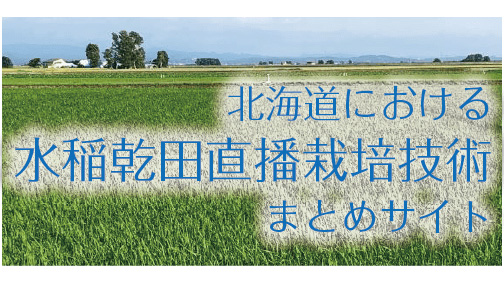 「北海道における水稲乾田直播栽培技術まとめサイト」公開　農研機構
