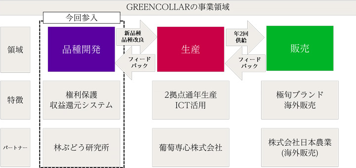 GREENCOLLARの事業領域