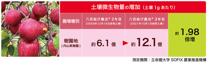 土壌微生物量の増加