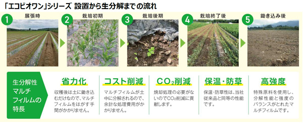 「エコビオワン」シリーズ設置から生分解までの流れ