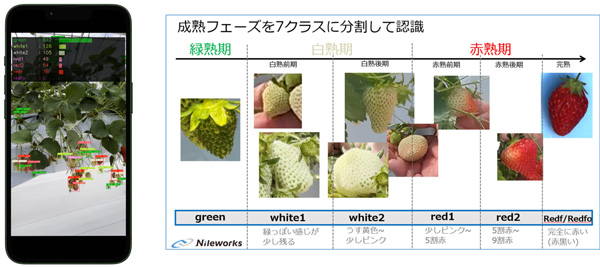 クラウドで高精度な熟度判定