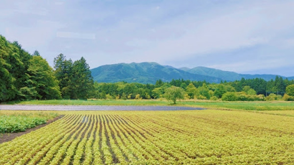 「ノウキナビ」耕作放棄地の再利用支援制度を開始　唐澤農機サービス