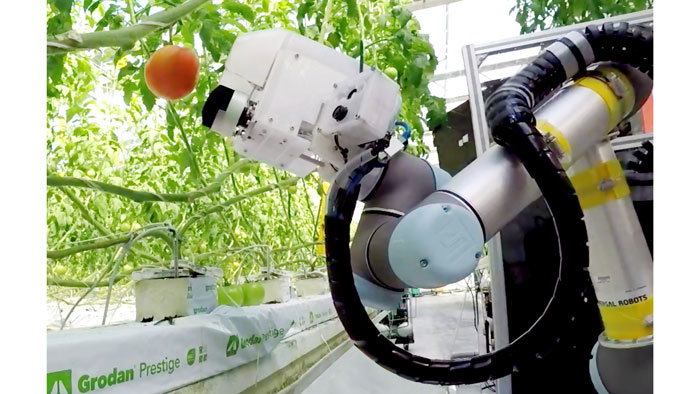 「ヤンマー大玉トマト収穫ロボット」の試作機　「2022国際ロボット展」で展示