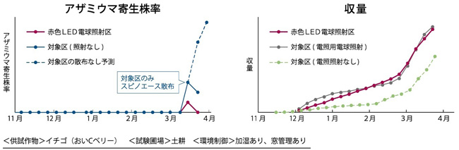 赤色LED電球の使用結果