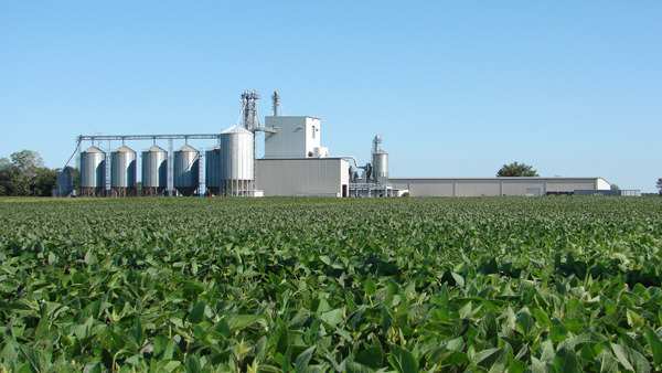 米オハイオ州の大豆実験圃場