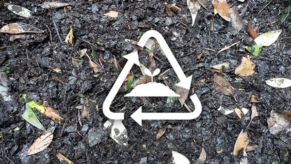 観葉植物を捨てずに堆肥化　リサイクルサービス開始　REN