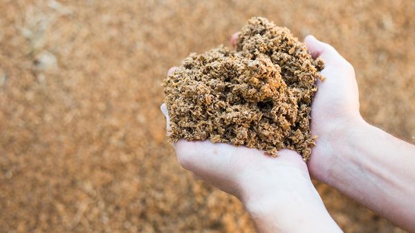 有機酵素肥料による土壌改良や農家支援「資源循環型農業推進協会」発足
