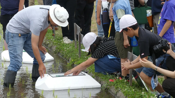 水稲の有機栽培で除草作業に「アイガモロボ」を導入、小学生がICT教育のモデル授業で体験　北杜市