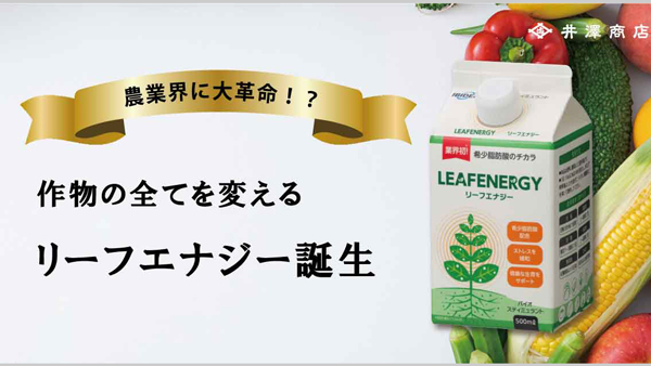 環境ストレス緩和で生育・品質・収穫を安定　希少脂肪酸「リーフエナジー」発売　井澤商店