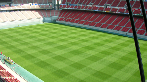 ラグビー選手にやさしい芝を「ビール酵母細胞壁」由来農業資材「豊田スタジアム」の芝管理に採用
