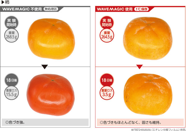 「WAVEMAGIC 」を使用した柿と非使用の柿の比較写真
