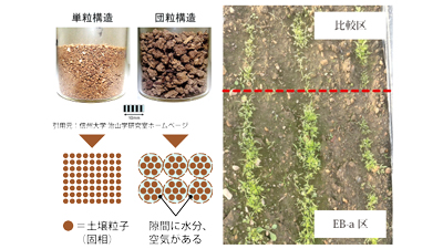 夏の干ばつ対策に　土壌保水率アップ「EB-a」を販売開始　井澤商店.jpg