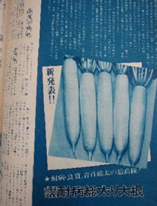 新発表記事（1974年）タキイ種苗発行『園芸新知識』より