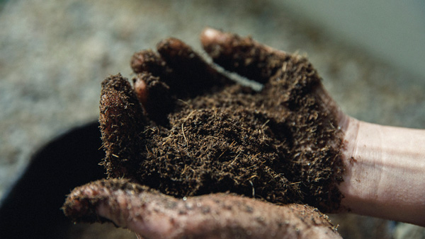 1グラムあたり6億個以上の微生物が活動できる肥沃で健康な土